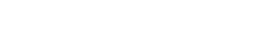 The Wavement Studio